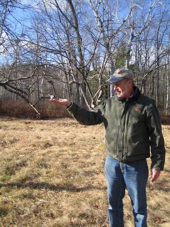 Bill hand Feeding Chickadee in the woods