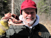 Bill with deer skull